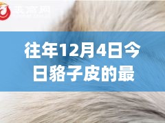 12月4日貉子皮最新價格及歷年趨勢解析，市場動態(tài)一覽