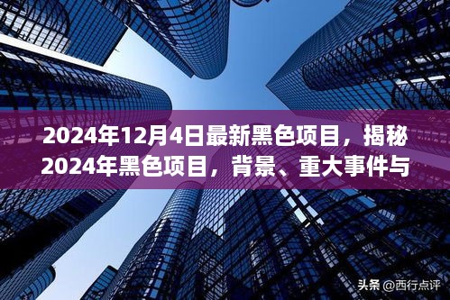 揭秘，2024年黑色項(xiàng)目的背景、重大事件與深遠(yuǎn)影響全解析