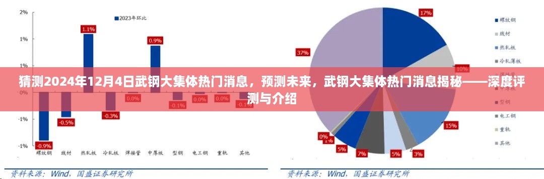 揭秘武鋼大集體未來熱門消息，深度評測與預(yù)測報告（2024年12月4日版）