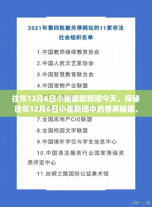 探秘往年12月6日小崔新聞中的巷弄秘境，小巷深處的特色小店揭秘