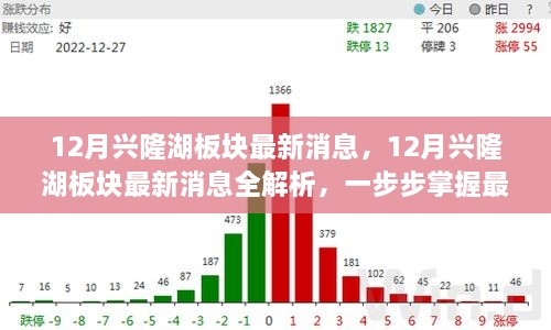 掌握興隆湖板塊最新動態(tài)，全面解析十二月最新消息