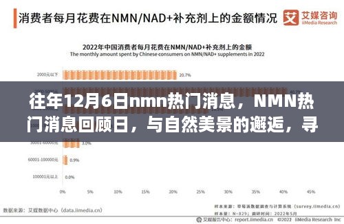 往年NMN熱門消息回顧日，與自然美景的邂逅，心靈寧靜之旅啟程