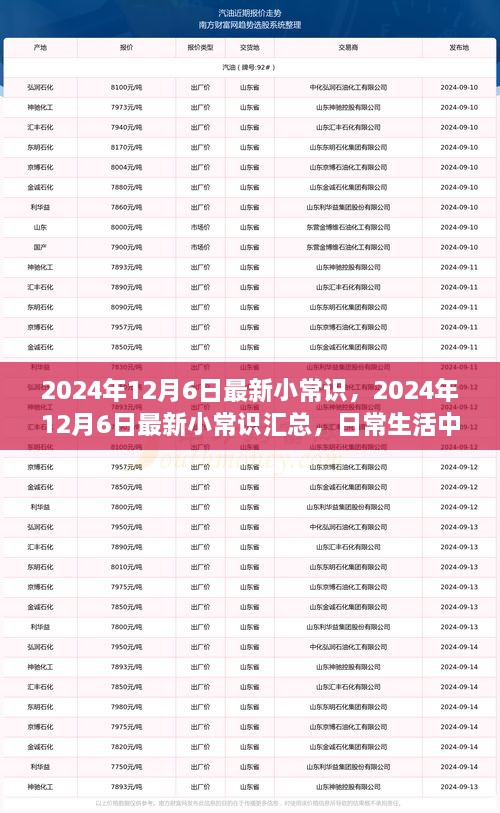 2024年12月6日最新小常識(shí)一覽，日常生活中的新奇知識(shí)匯總