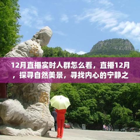 12月直播探尋自然美景，探尋內(nèi)心寧?kù)o之旅的實(shí)時(shí)觀眾洞察