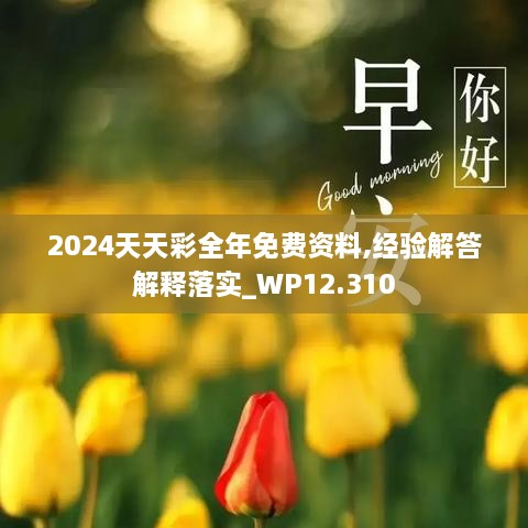 2024天天彩全年免費(fèi)資料,經(jīng)驗(yàn)解答解釋落實(shí)_WP12.310