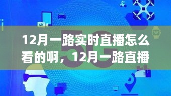 12月直播盛宴，如何實時觀看直播節(jié)目指南