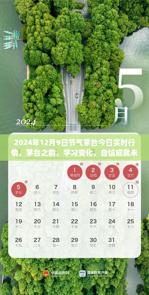 茅臺(tái)之韻，2024年12月9日實(shí)時(shí)行情啟示錄，洞悉變化，自信筑夢(mèng)未來