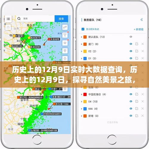 探尋自然美景之旅，歷史上的12月9日實(shí)時(shí)大數(shù)據(jù)查詢(xún)之旅，啟程尋找內(nèi)心的寧?kù)o與平和