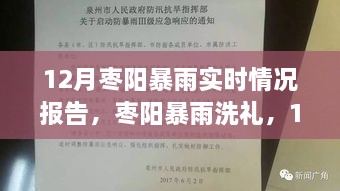 棗陽暴雨實(shí)時(shí)報(bào)告，12月暴雨洗禮下的最新情況分析