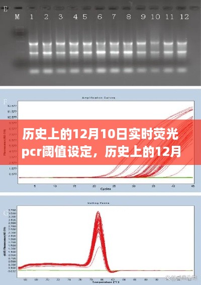 歷史上的12月10日，實(shí)時(shí)熒光PCR閾值設(shè)定的探索之旅