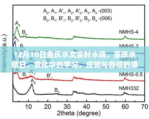 重慶水晴日下的學(xué)習(xí)成就與自信之源，變化中的探索與成長之路