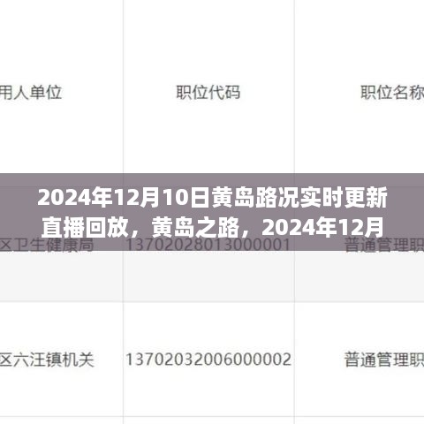 2024年12月10日黃島路況實(shí)錄與深度解讀，實(shí)時(shí)更新直播回放