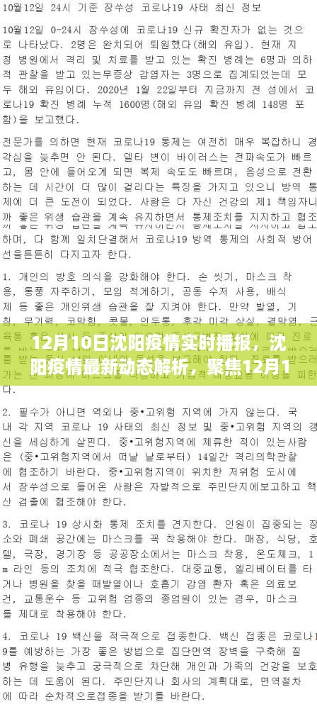 沈陽疫情最新動態(tài)解析，聚焦實時播報與個人觀點（12月10日更新）