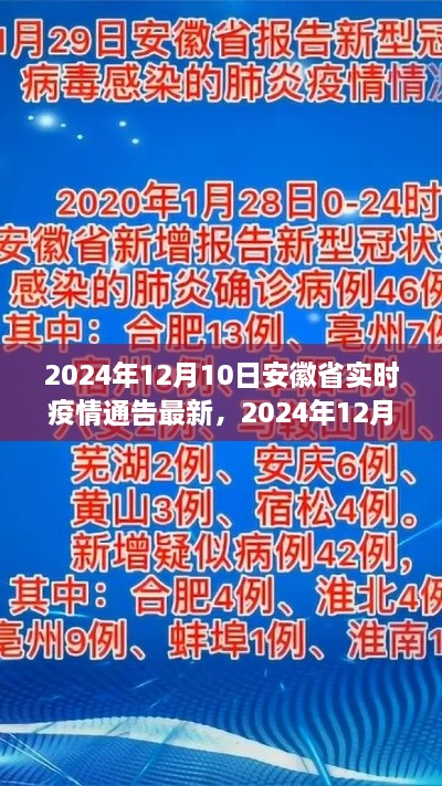 2024年12月10日安徽省實(shí)時(shí)疫情通告，最新分析與觀察