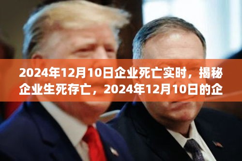 揭秘企業(yè)生死存亡，企業(yè)死亡實時真相揭秘（2024年12月10日）