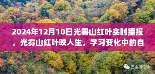 光霧山紅葉映人生，自信與成就之旅的實時播報（2024年12月）