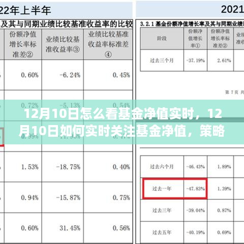 12月10日基金凈值實(shí)時(shí)關(guān)注策略與技巧，如何掌握基金動(dòng)態(tài)