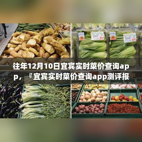 宜賓實(shí)時(shí)菜價(jià)查詢(xún)app歷年功能深度解析與用戶(hù)體驗(yàn)洞察測(cè)評(píng)報(bào)告，宜賓歷年菜價(jià)變遷一覽無(wú)余！