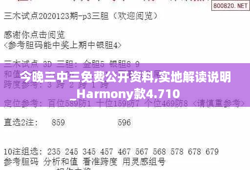 今晚三中三免費(fèi)公開資料,實(shí)地解讀說明_Harmony款4.710