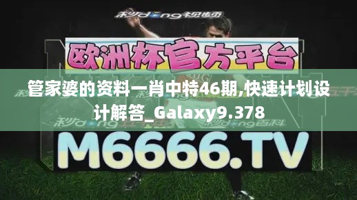 管家婆的資料一肖中特46期,快速計(jì)劃設(shè)計(jì)解答_Galaxy9.378