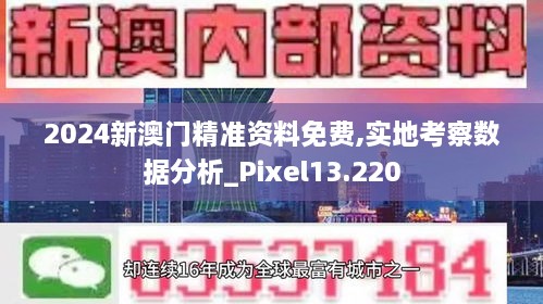 2024新澳門精準(zhǔn)資料免費(fèi),實(shí)地考察數(shù)據(jù)分析_Pixel13.220