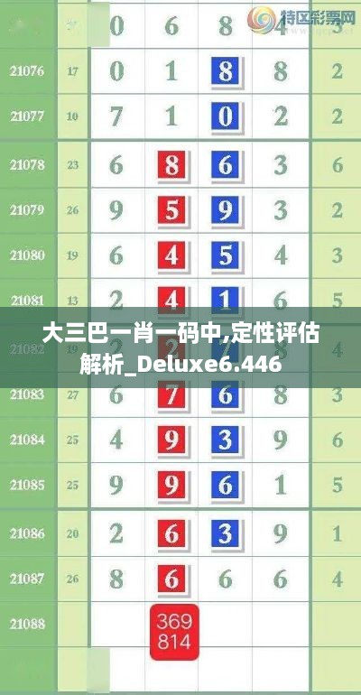 大三巴一肖一碼中,定性評估解析_Deluxe6.446