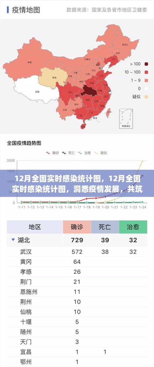 12月全國實時感染統(tǒng)計圖，洞悉疫情，共筑防控新防線