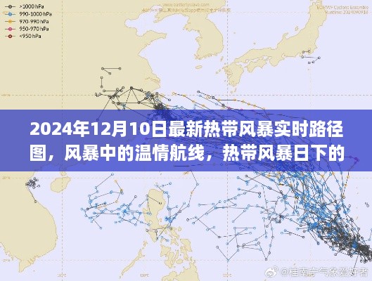 2024年熱帶風(fēng)暴實(shí)時(shí)路徑圖，風(fēng)暴中的溫情旅程與特殊旅程揭秘