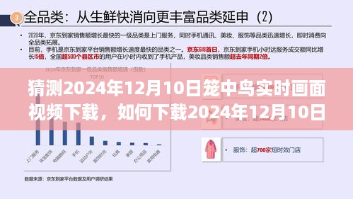 詳細步驟指南，如何下載2024年籠中鳥實時畫面視頻下載指南及步驟解析