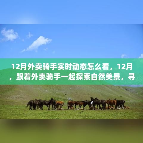 跟著外賣騎手探索自然美景，12月實時動態(tài)與心靈之旅