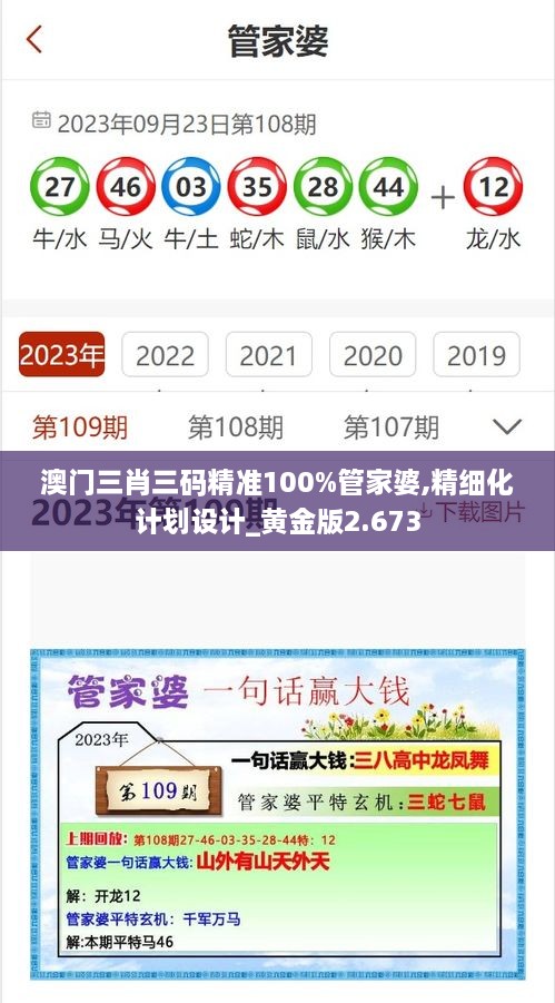 澳門三肖三碼精準100%管家婆,精細化計劃設計_黃金版2.673