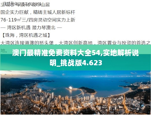 澳門最精準免費資料大全54,實地解析說明_挑戰(zhàn)版4.623