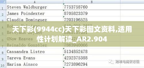 天下彩(9944cc)天下彩圖文資料,適用性計(jì)劃解讀_AR2.904