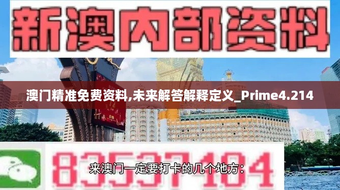 澳門精準(zhǔn)免費資料,未來解答解釋定義_Prime4.214