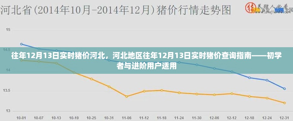 河北地區(qū)歷年12月13日實(shí)時(shí)豬價(jià)查詢指南，初學(xué)者與進(jìn)階用戶必備參考