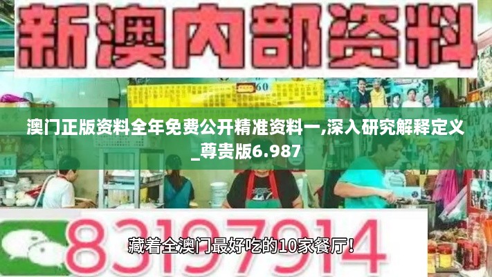 澳門正版資料全年免費(fèi)公開精準(zhǔn)資料一,深入研究解釋定義_尊貴版6.987