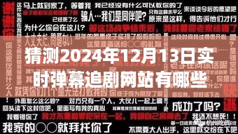 2024年實時彈幕追劇網站展望，背景、發(fā)展與行業(yè)地位深度解析