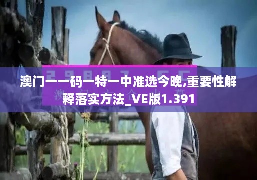 澳門一一碼一特一中準選今晚,重要性解釋落實方法_VE版1.391