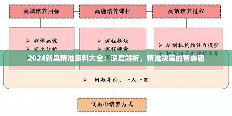 2024新臭精準(zhǔn)資料大全：深度解析，精準(zhǔn)決策的智囊團(tuán)