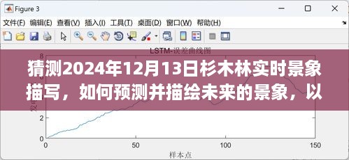 預(yù)測與描繪未來，杉木林在2024年12月13日的實(shí)時(shí)景象