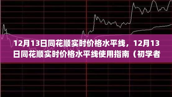 12月13日同花順實(shí)時(shí)價(jià)格水平線使用指南，從入門到進(jìn)階