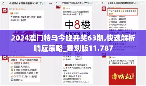 2024澳門特馬今晚開獎63期,快速解析響應(yīng)策略_復(fù)刻版11.787