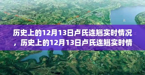 探索歷史上的盧氏連翹實(shí)時情況，指南與手冊揭秘盧氏連翹奧秘