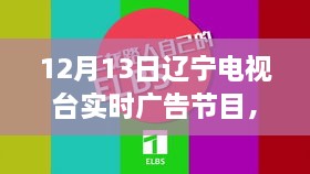 遼寧電視臺揭秘最新高科技產品，重塑未來生活體驗直播秀