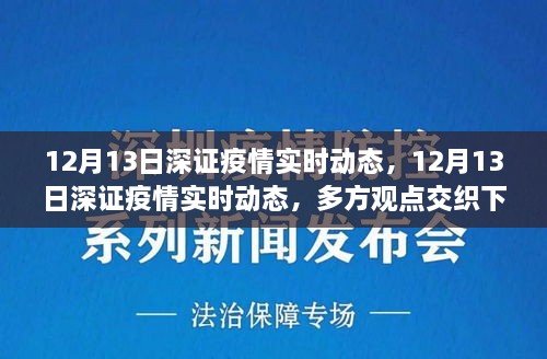 多方觀點交織下的洞察與反思，12月13日深證疫情實時動態(tài)分析