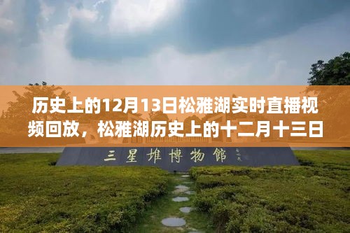 松雅湖直播回放，探尋歷史記憶碎片的十二月十三日