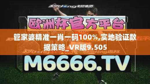 管家婆精準(zhǔn)一肖一碼100%,實(shí)地驗(yàn)證數(shù)據(jù)策略_VR版9.505