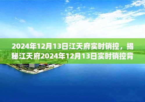 揭秘江天府實(shí)時銷控背后的秘密，深度解析2024年12月13日數(shù)據(jù)動態(tài)與趨勢分析