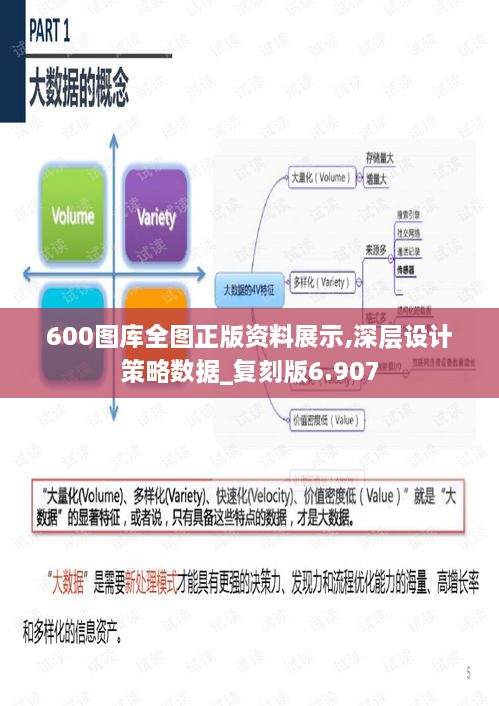 600圖庫全圖正版資料展示,深層設(shè)計(jì)策略數(shù)據(jù)_復(fù)刻版6.907