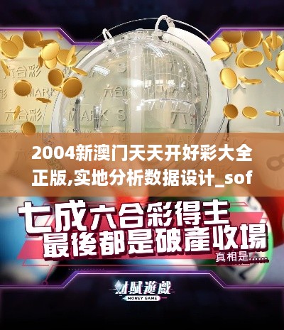 2004新澳門天天開好彩大全正版,實地分析數(shù)據(jù)設計_soft4.733